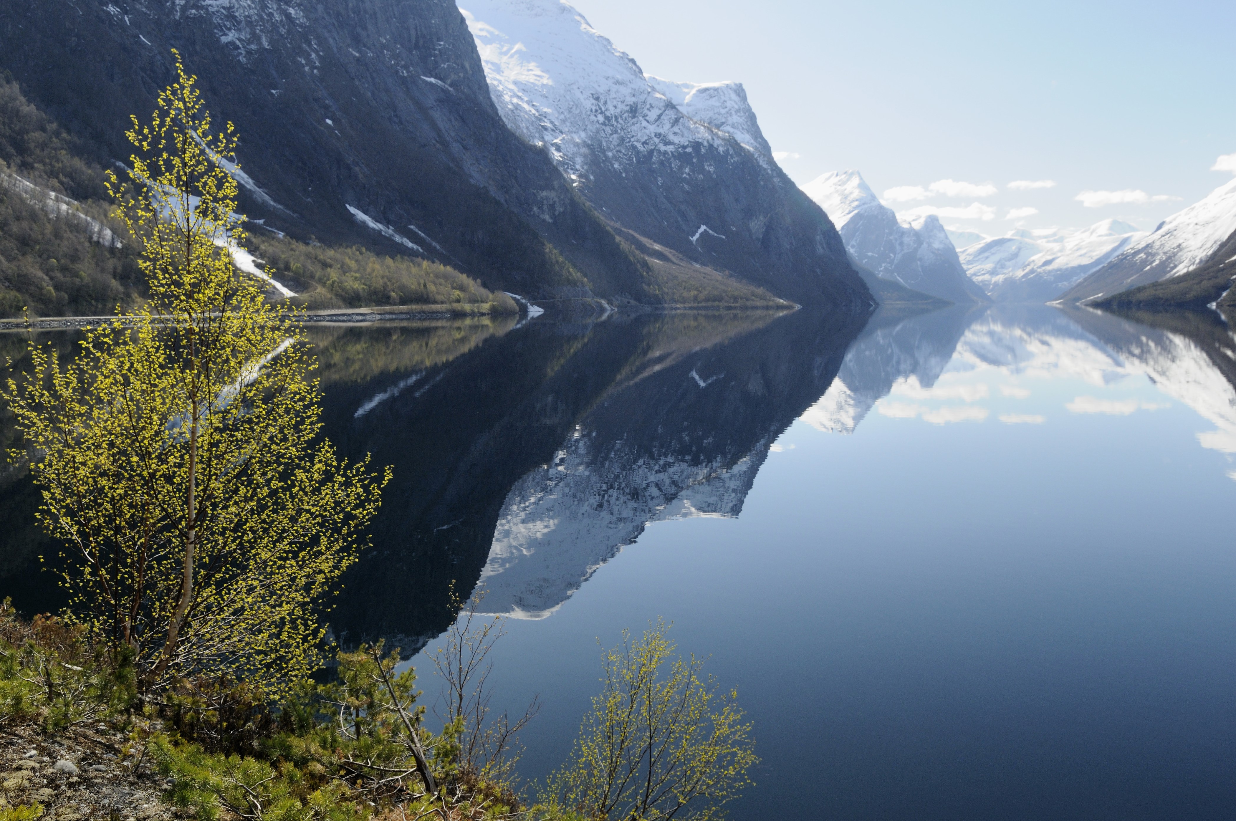 Eit bilete av fjorden som viser kombinasjonen av  av naturlandskapet og kulturlandskapet. 