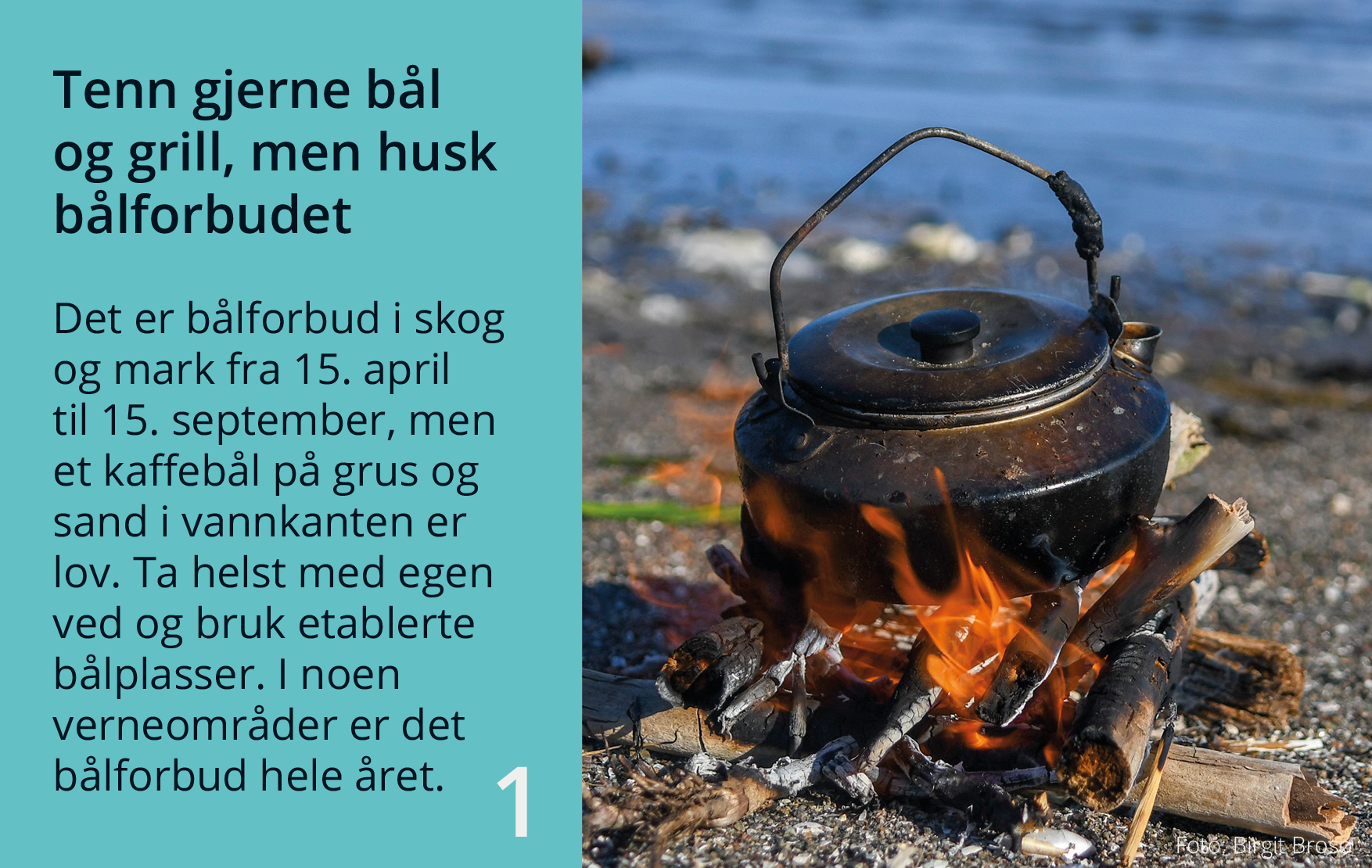 Tips én av åtte for naturvennlig friluftsliv 