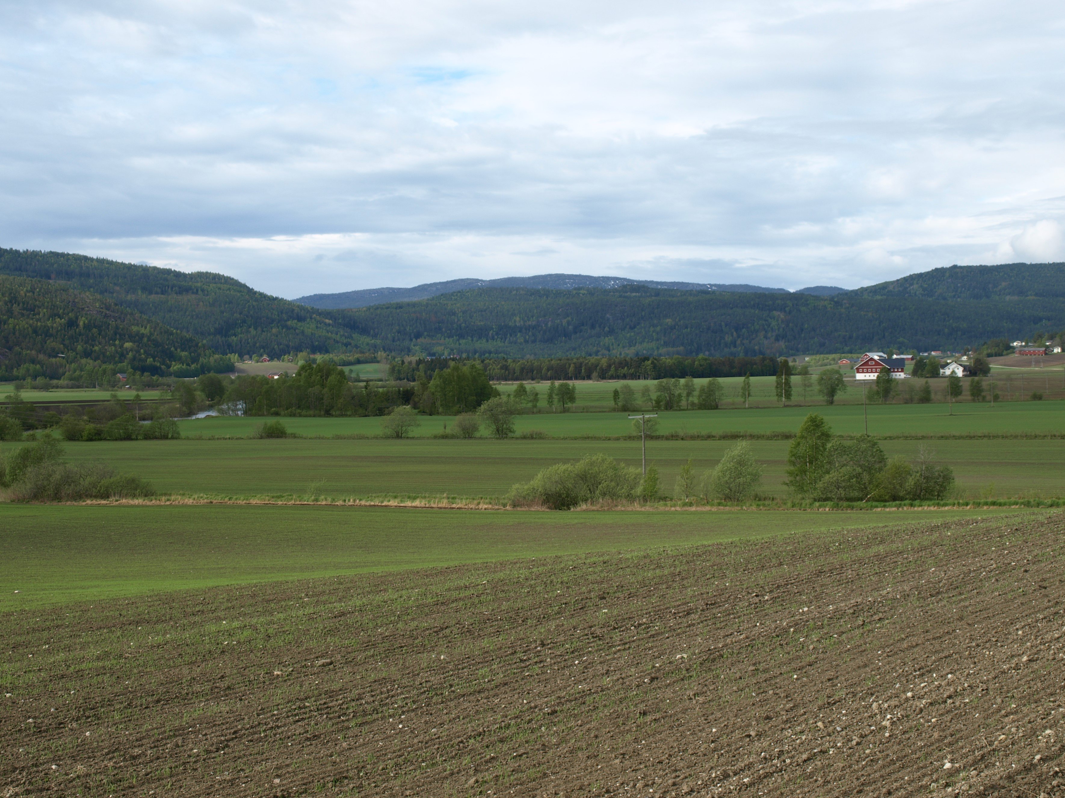 Jordbrukslandskap.