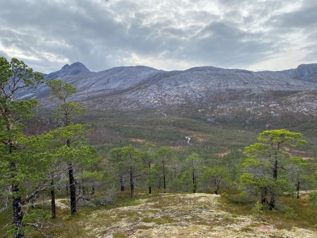 Kilvasskogen