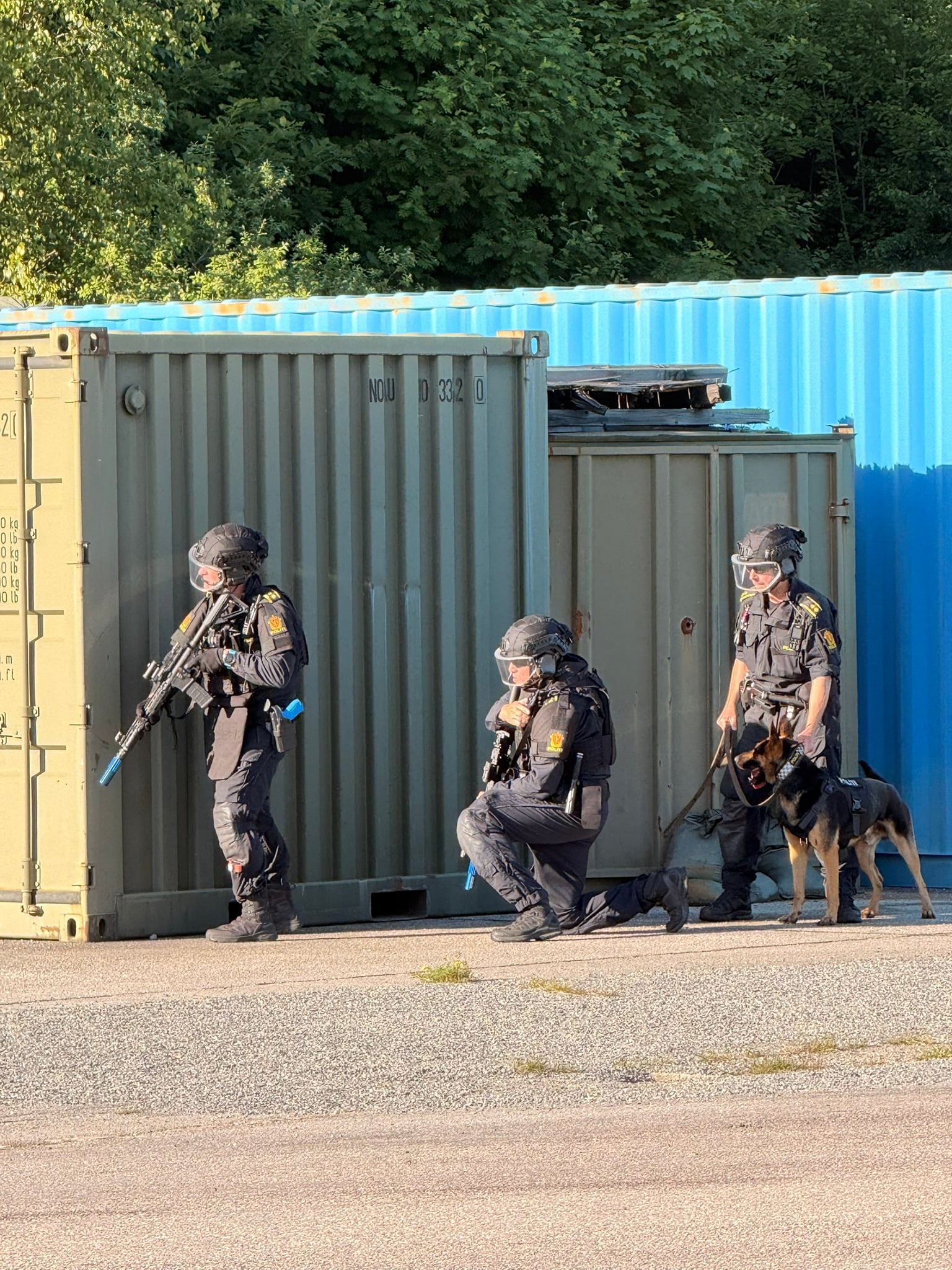 3 uniformerte politibetjenter med våpen og spesialtrent hund