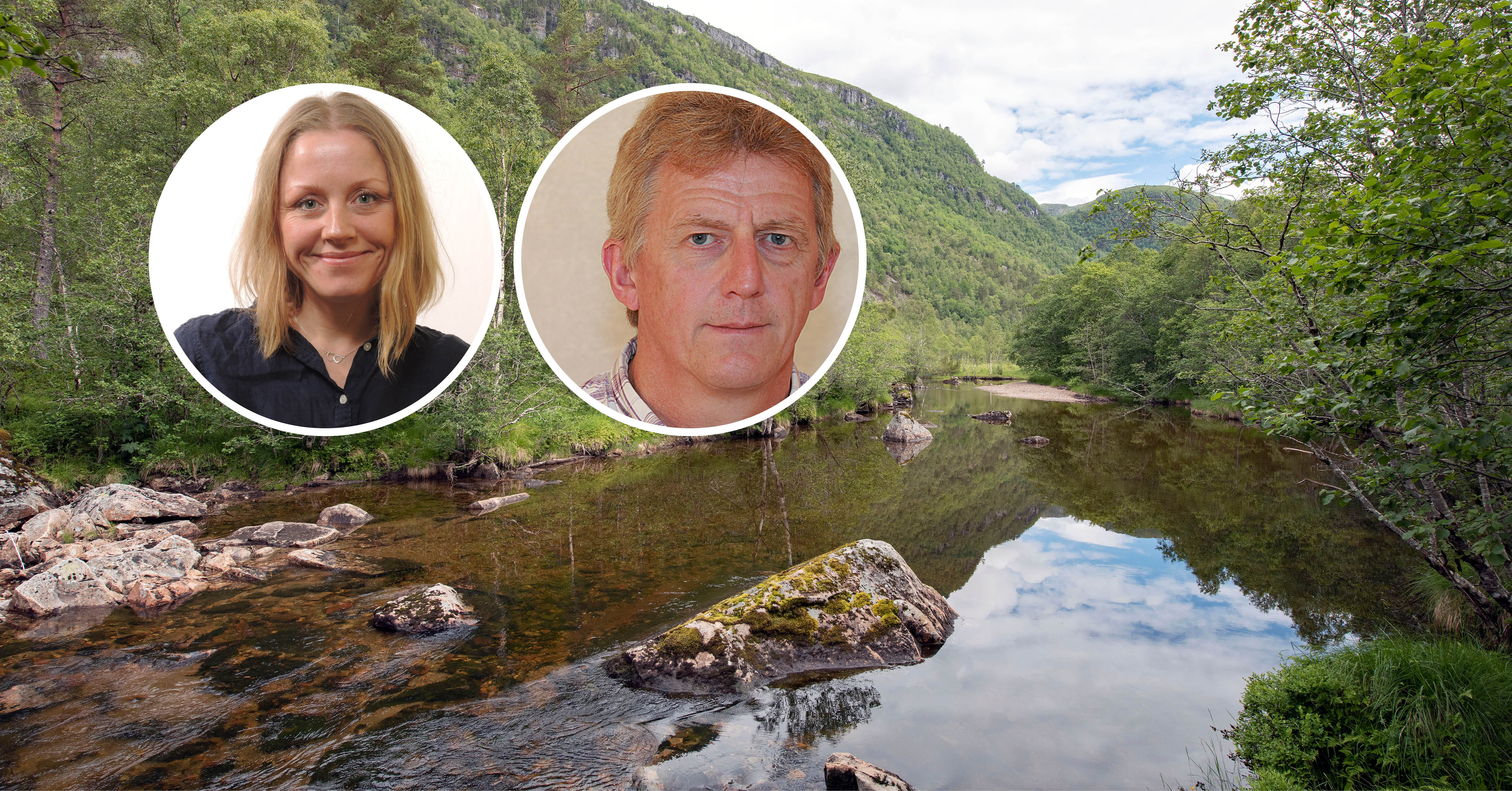 I 2020 fekk Statsforvaltaren i Møre og Romsdal inn heile 17 tilbod om frivillig vern av skog. I 2021 har det allereie kome inn ni tilbod. Biletet er frå Todalsdalen naturreservat. Hege Steigedal og Ola Betten arbeider med skogvern hos Statsforvaltaren.