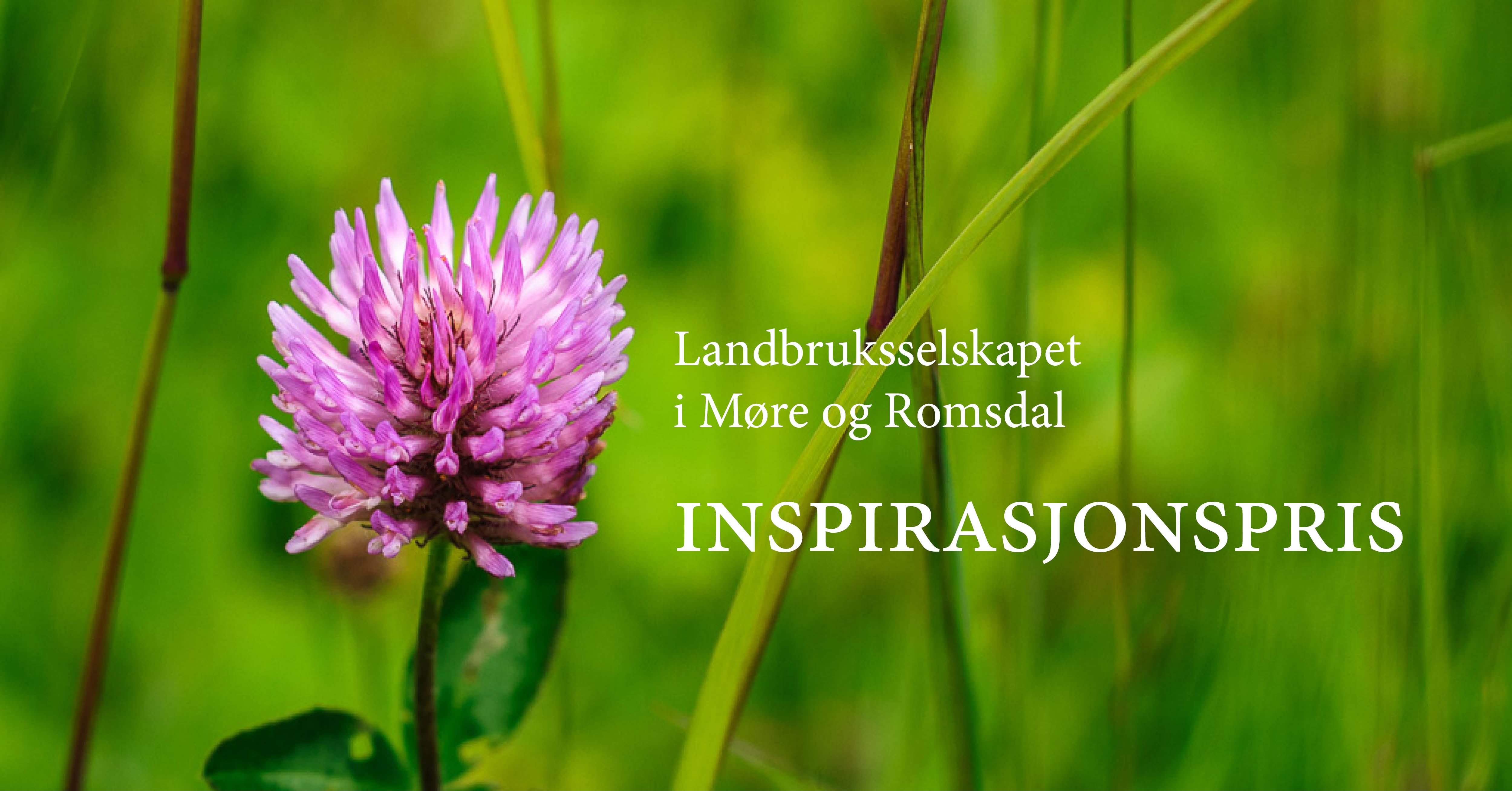 Møre og Romsdal landbruksselskap ønsker kandidatar til ein inspirasjonspris. Forslaga må komme innan 20. januar. 