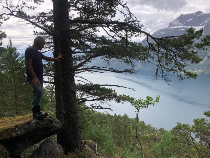 Grunneigar kikker ut over terrenget mellom fjord og fjell aust for Hunvika i Stad kommune. Han og tre andre i felleseiget har tilbydd området til vern som naturreservat. På den andre sida av fjorden ligg Ålfotbreen landskapsvernområde høgt til fjells. 