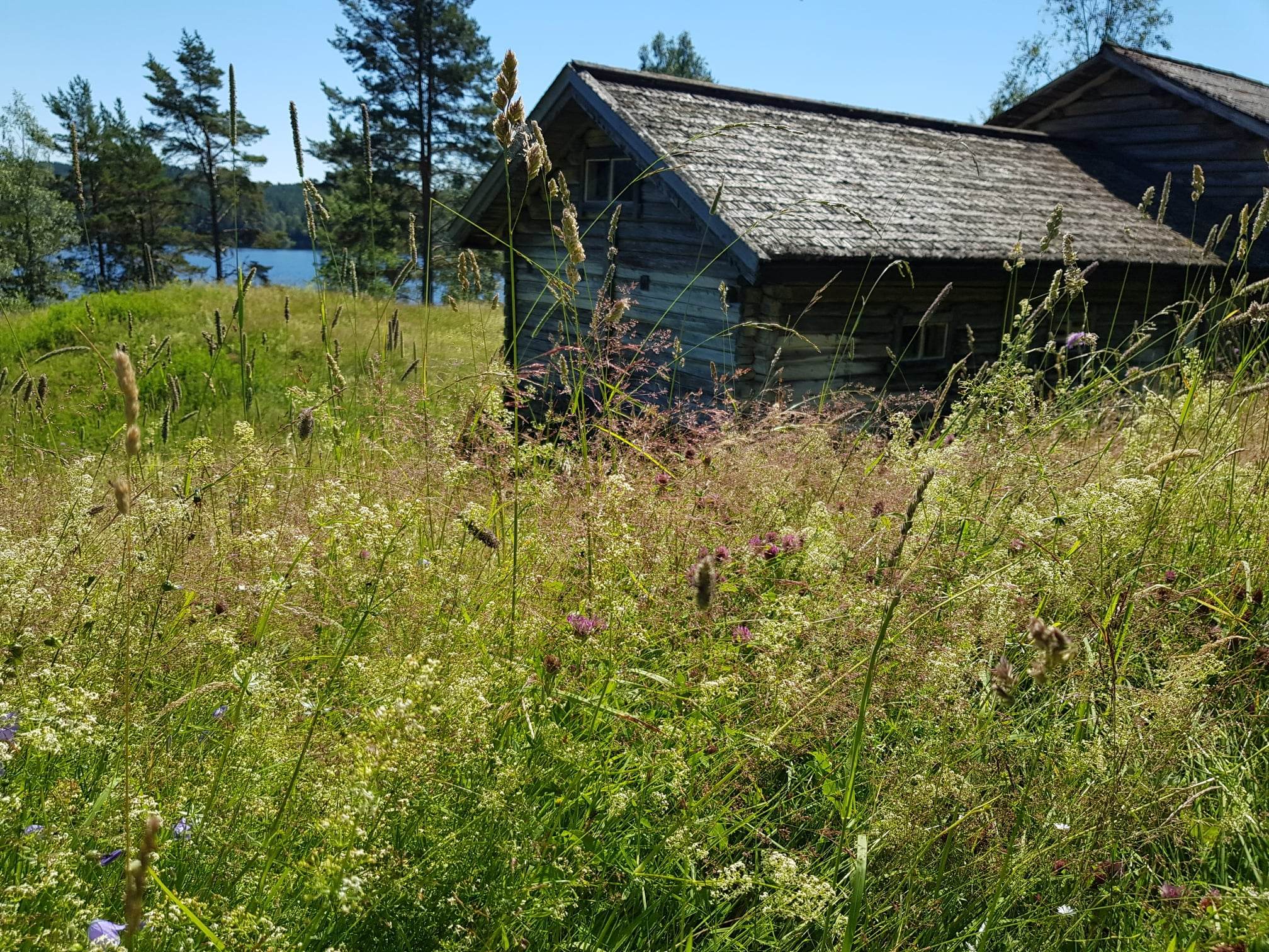 Slåttemark