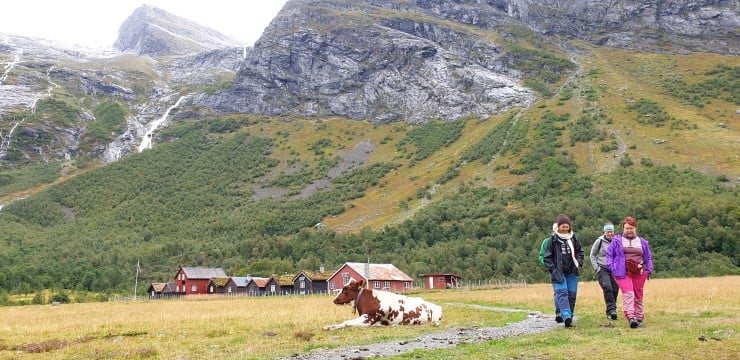Bødalen og den særmerkte Bødalssætra er blant dei tre stølsområda i Stryn der nasjonalparkstyret i 2021 har prioritert utarbeiding av skjøtselsplan. Slik kan ein ta betre vare på det verneverdige kulturlandskapet. 