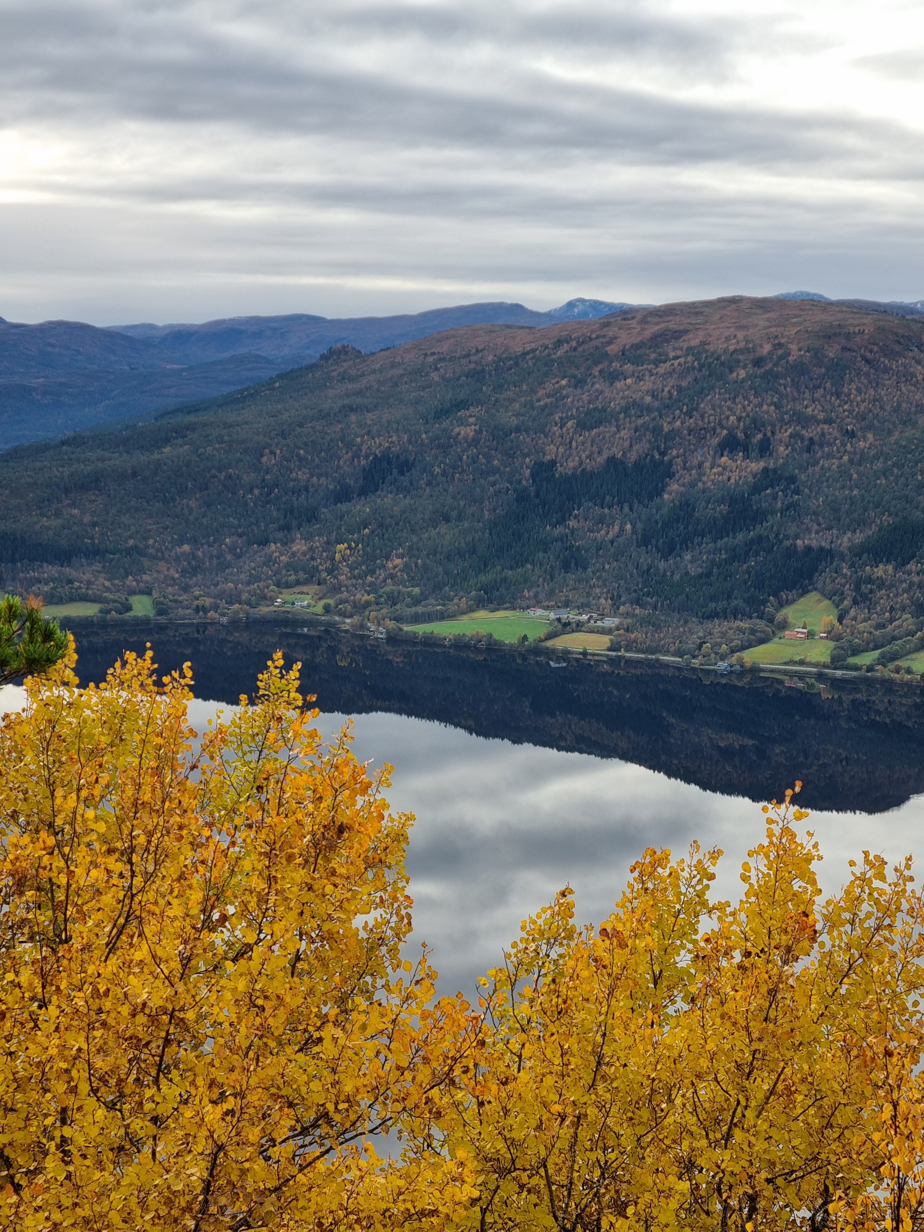 Høstbilde med vann og skog