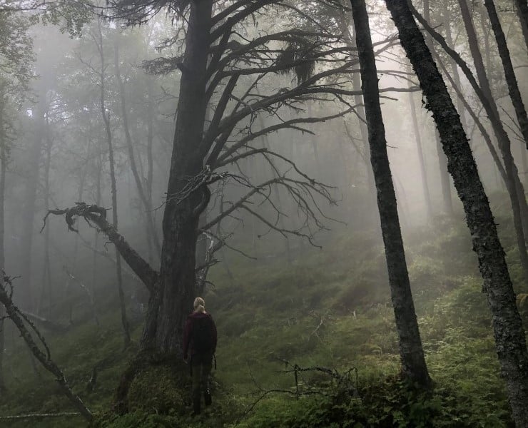 Biologisk kartlegging i skog er viktig i ein verneprosess dersom grunneigar tilbyr skogen sin til vern. Statsforvaltaren prioriterer arbeidet med skogvern for å klare å nå målet om 10 % vern av skog i Vestland. Vi manglar framleis mykje skogvern før målet er nådd. 