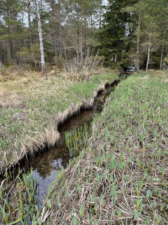 Deler av Nyttingeneselva. Bildet over er tatt under vassoverflata på same staden. 