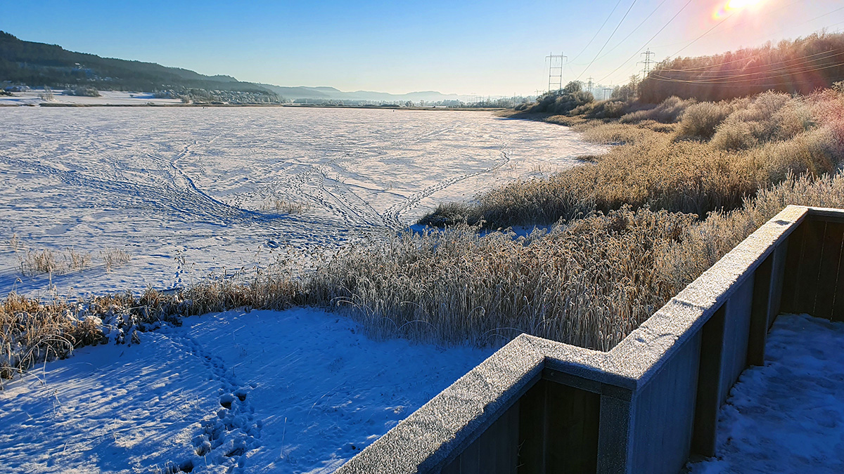 Utsikt fra det nye fugleamfiet nord i Børsesjø - en kald januardag.