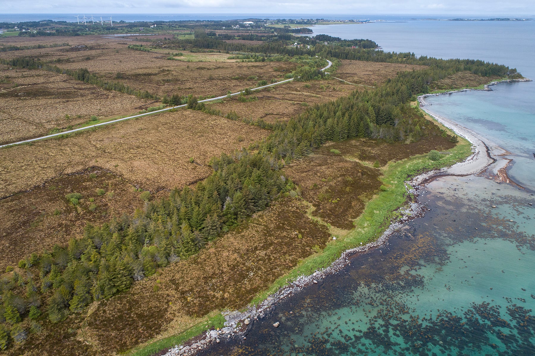 Dronebilde av Malesanden før hogst. Mange trær ved stranda. 
