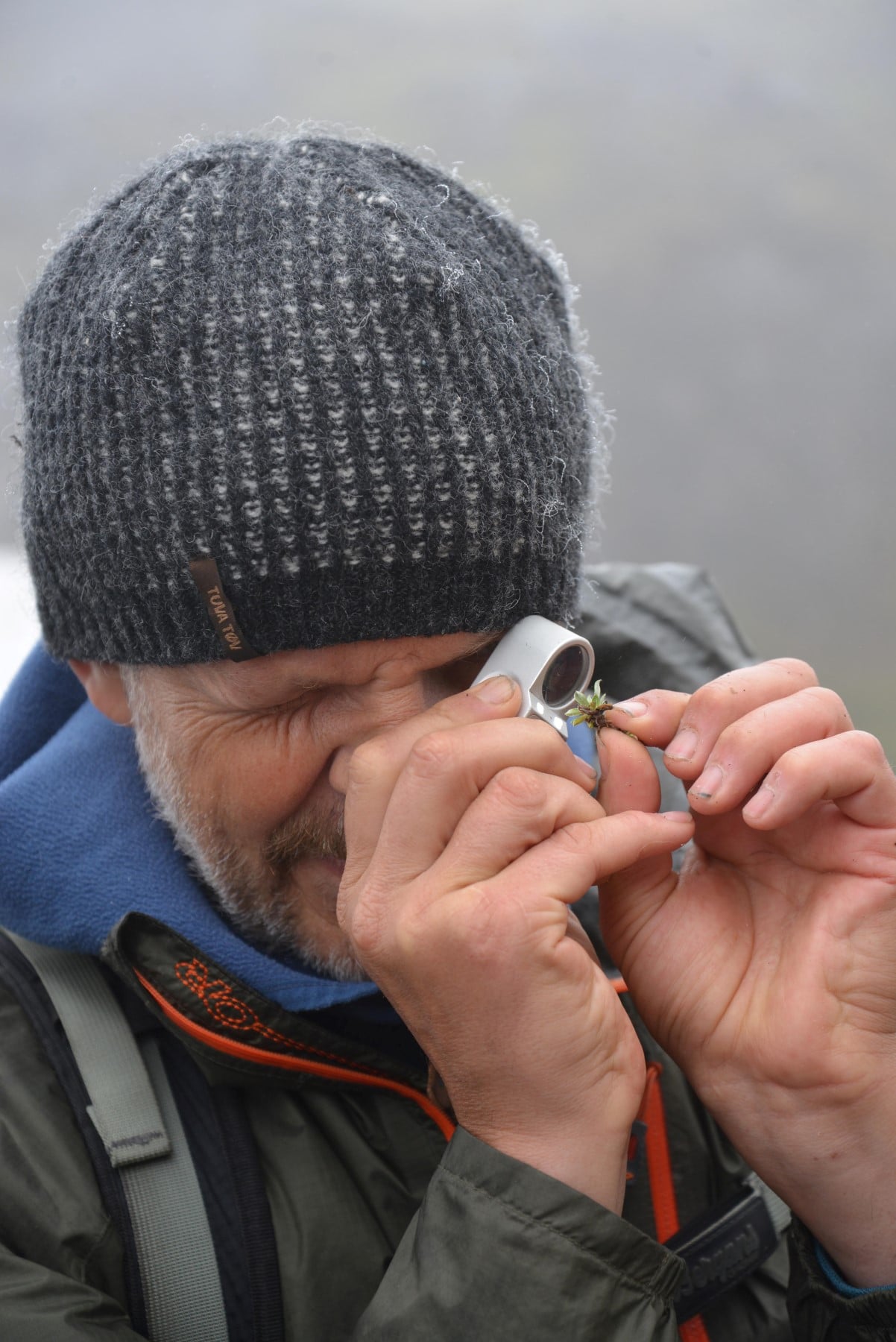 Botaniker Gunnar Kristiansen studerer sjeldne fjellplanter. 