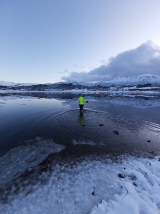 Prøvetaking i Buksnesfjorden