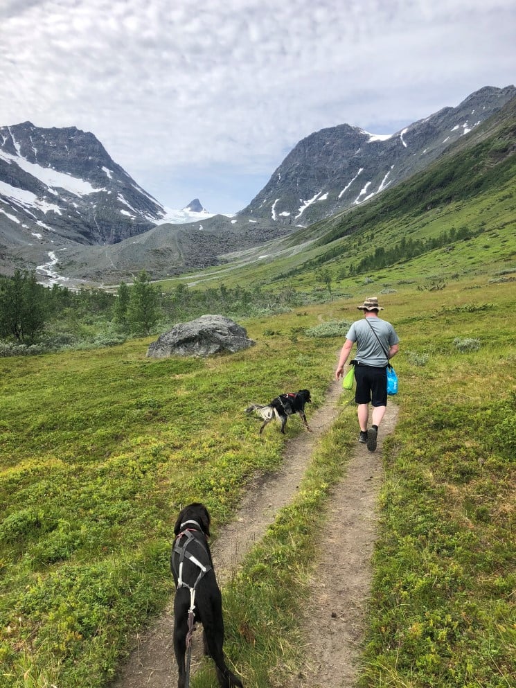 Folk og hund opp Steindalen. 