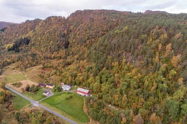 Li. Foto: Øivind Leren. Li ii.jpg