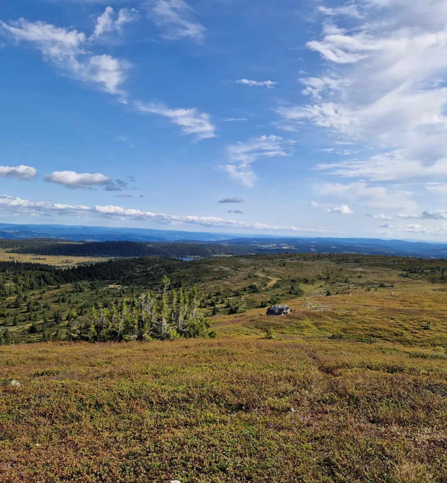 Fjellandskap