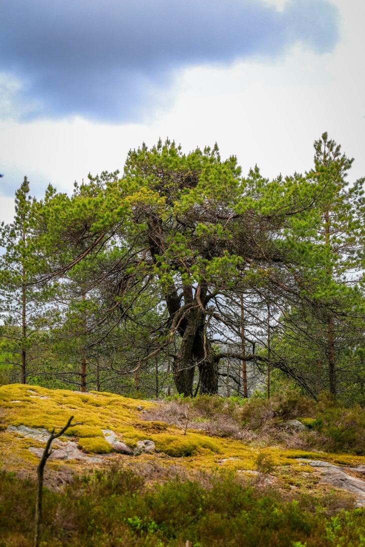 Einarvatnet i Lund og Flekkefjord kommunar.