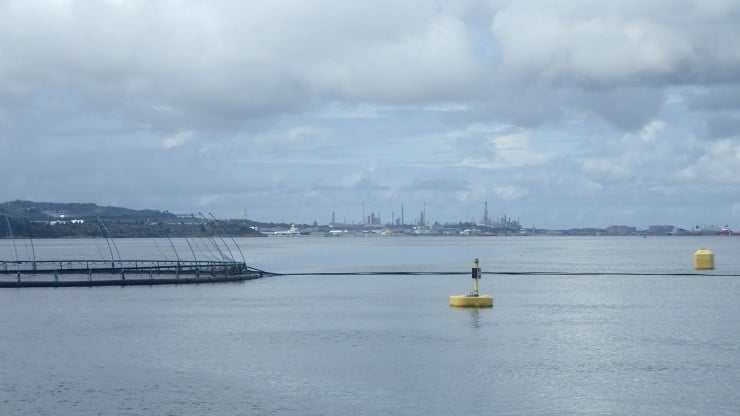 Ein merd av eit oppdrettsanlegg i sjø, med bøyer, og stor industri på land i bakgrunnen.