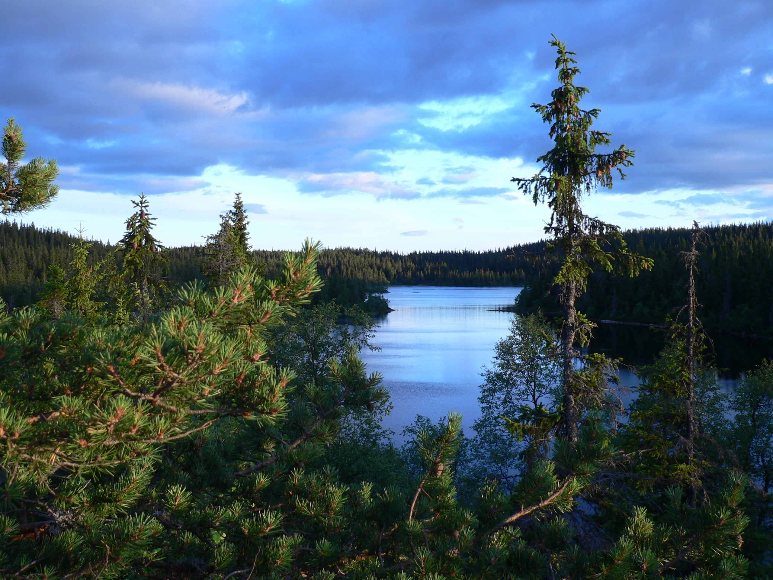 Breilivannet i Finnemarka naturreservat med blått vann, blågrå skyer og grønn barskog. 