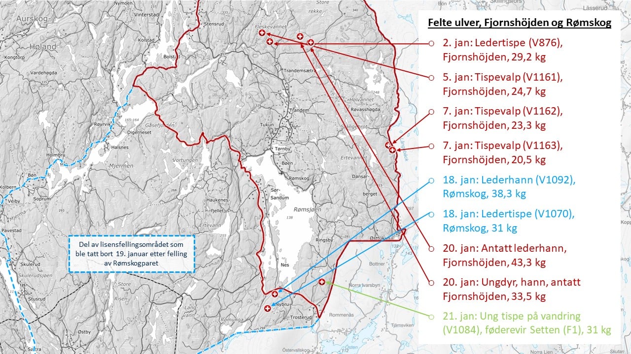 Kart med oversikt over felte ulver under lisensfelling av ulv innenfor ulvesonen i Akershus og Østfold i 2024. 