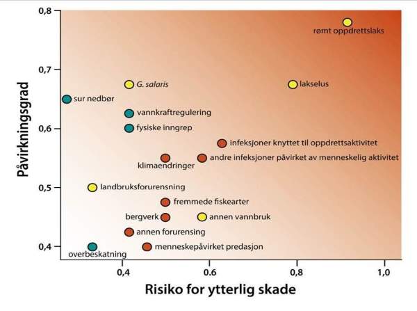 Faktorer som påvirker ville bestander av laksefisk