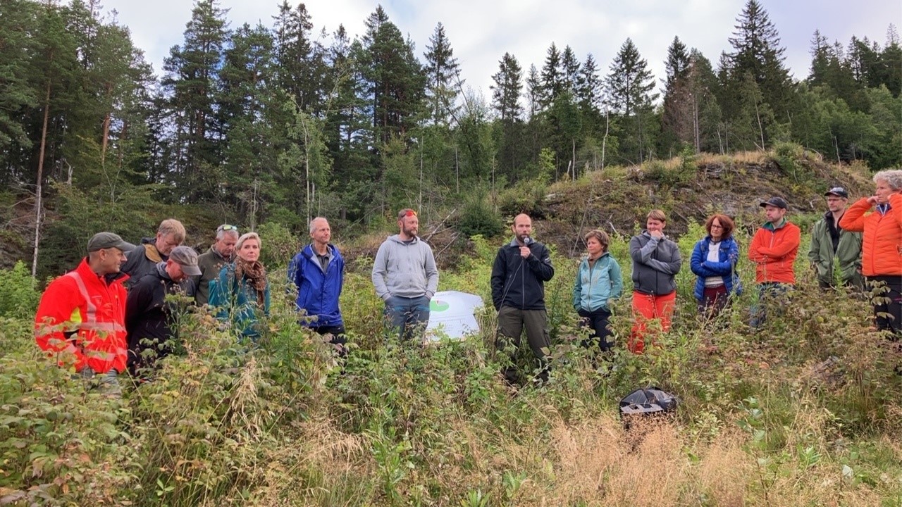 Et viktig mål for samlingen var å bli bedre kjent med skogseksjonen hos Landbruksdirektoratet. Her fra befaring og diskusjon knyttet til foryngelse og kommunenes oppfølging 