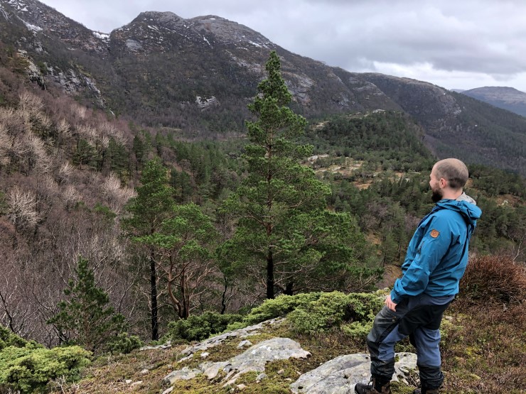 Den vestvendte lia ved sidan av Brossvikvatnet har vestnorsk regnskog og gamal lavlandsblandingsskog med fleire artar på den norske rødlista. Vi tilrår at skogen blir verna. 