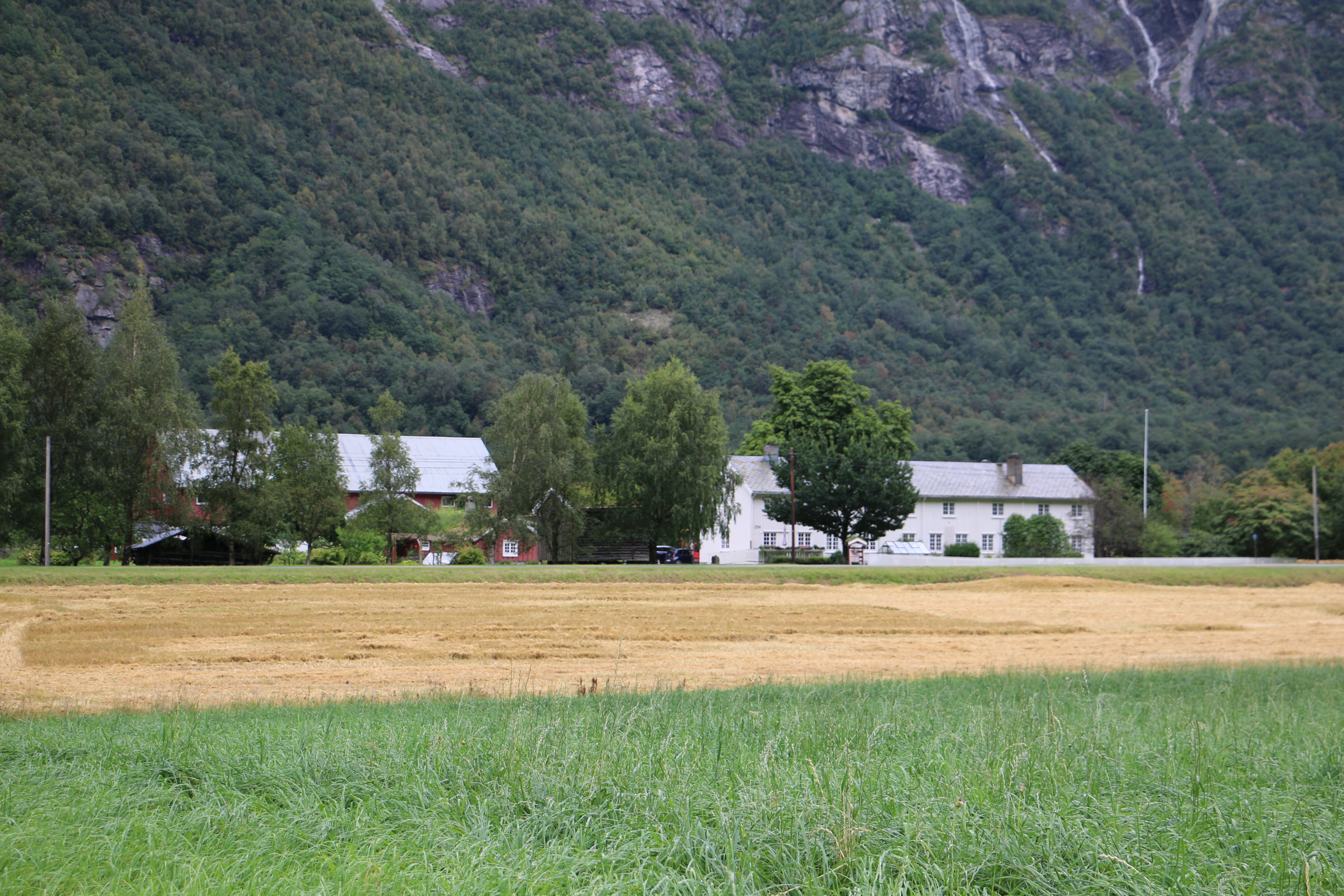 Vi ser åker med kutta korn framme i bildet, så garden og fjella. 