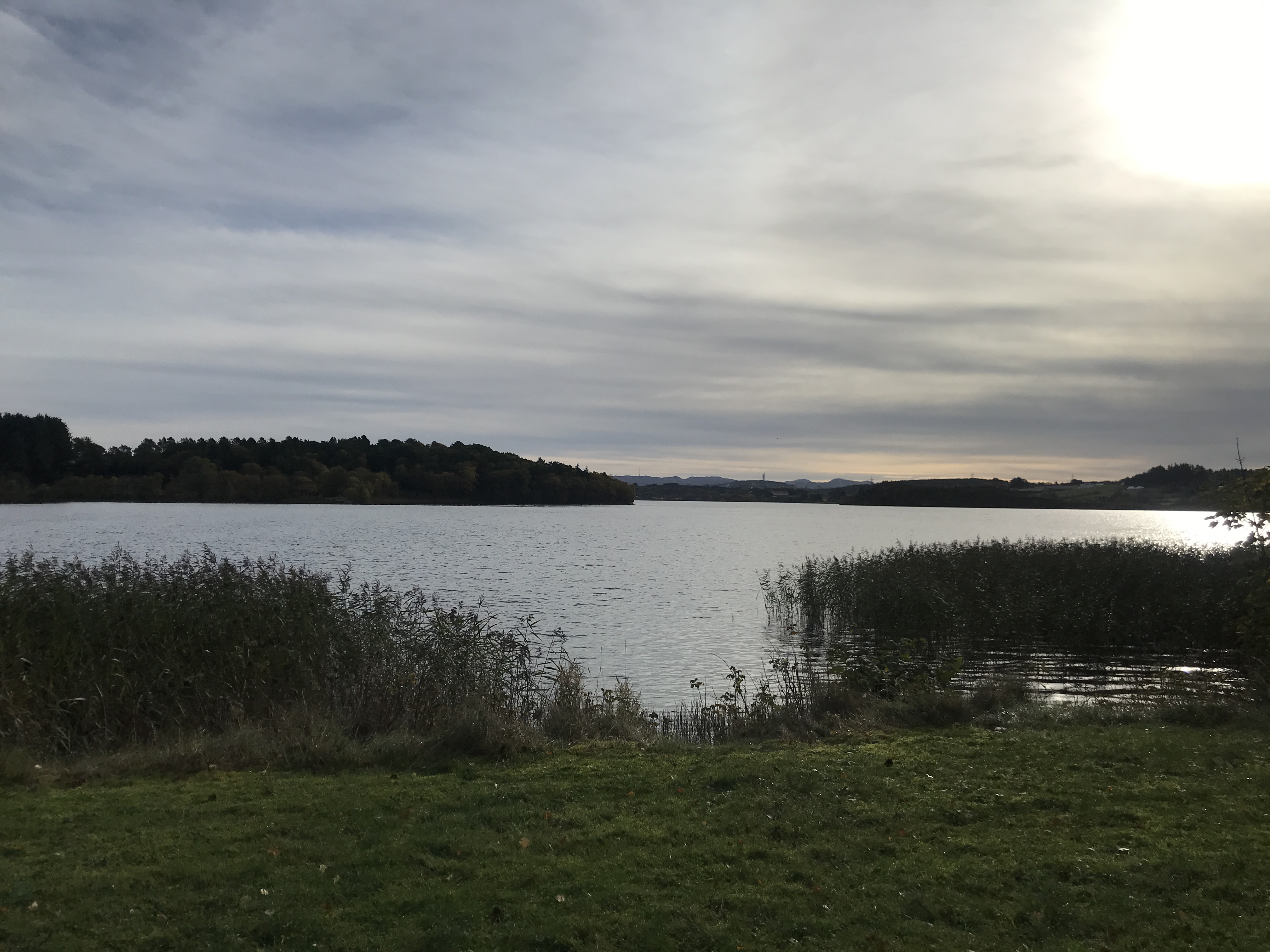 Hålandsvatnet