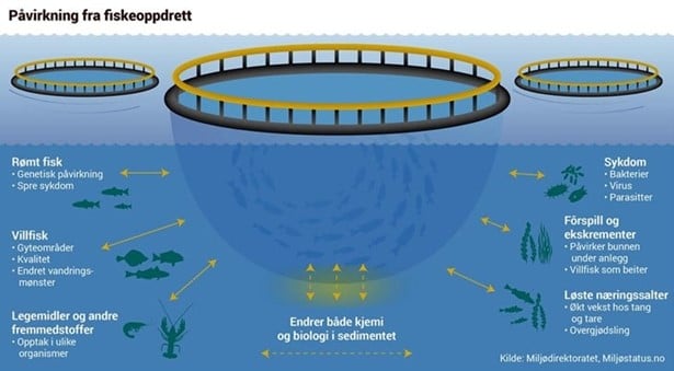 Påvirkning fra et fiskeoppdrettsanlegg. Kilde: Miljødirektoratet. Miljøstatus.no