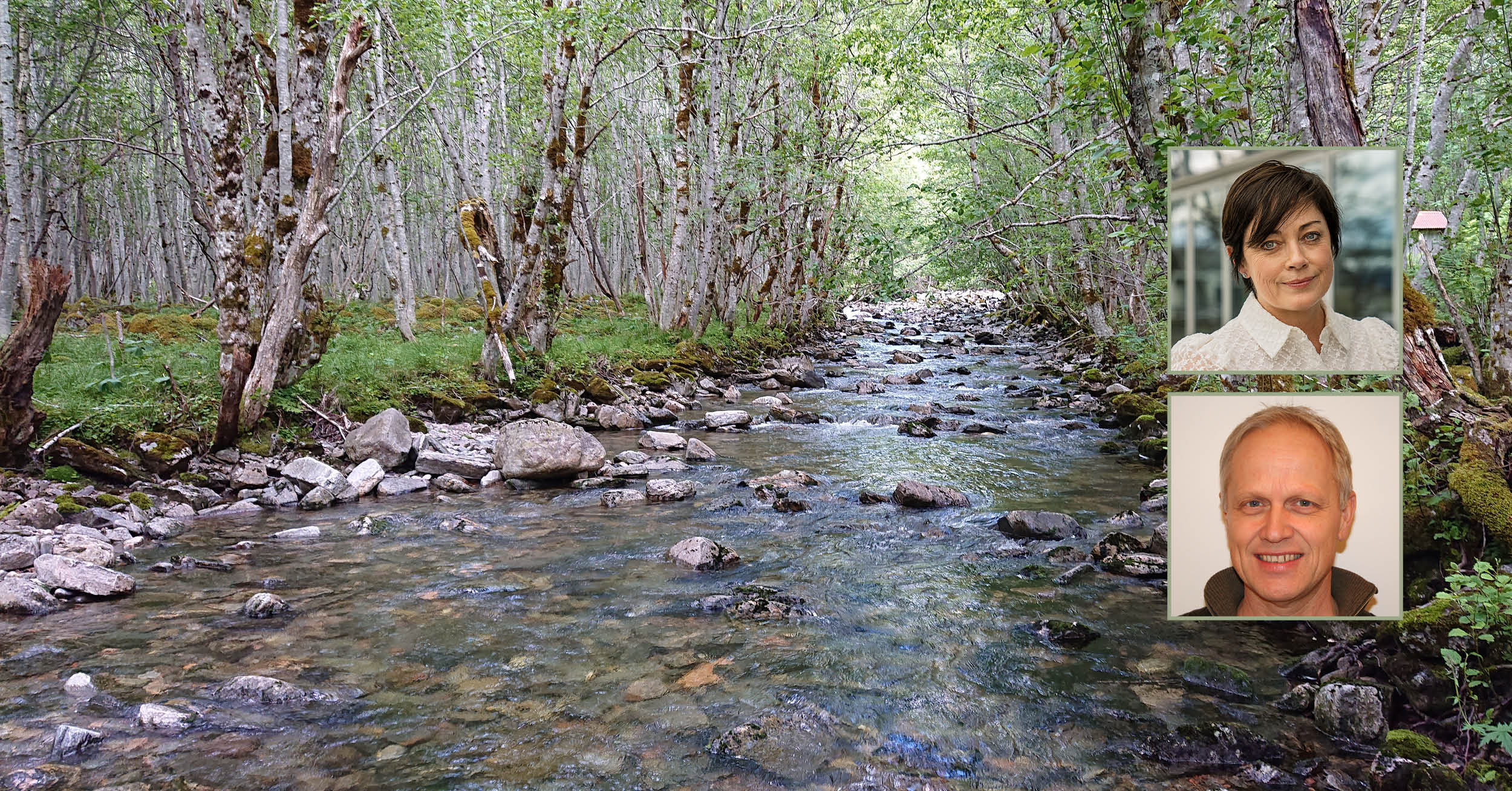 Portrett av forfattarane, og bilde frå ei elv som renn gjennom skog.