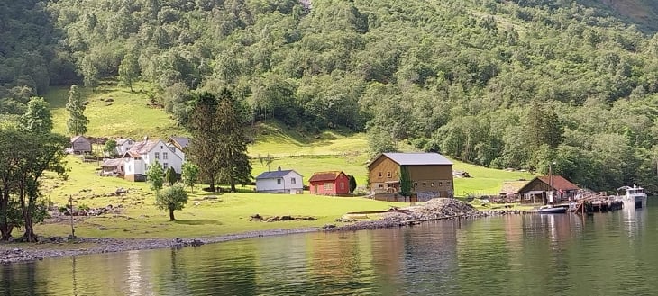 Garden Styvi med velstelte bøar. 