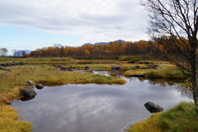 Bilde fra Risøysundet naturreservat