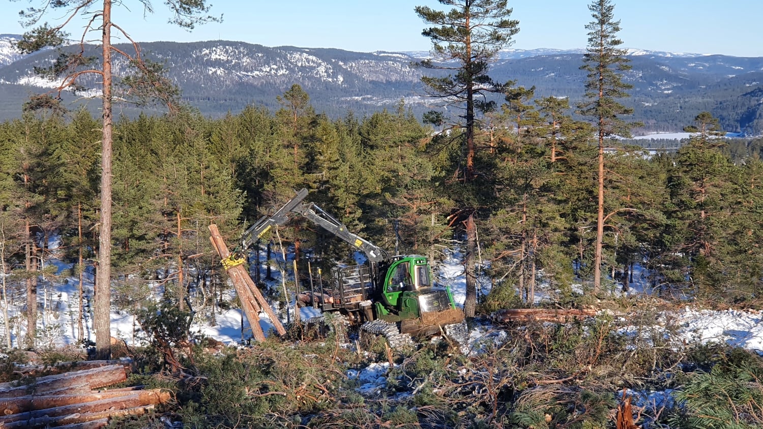Vinterhogst i Åmli.
