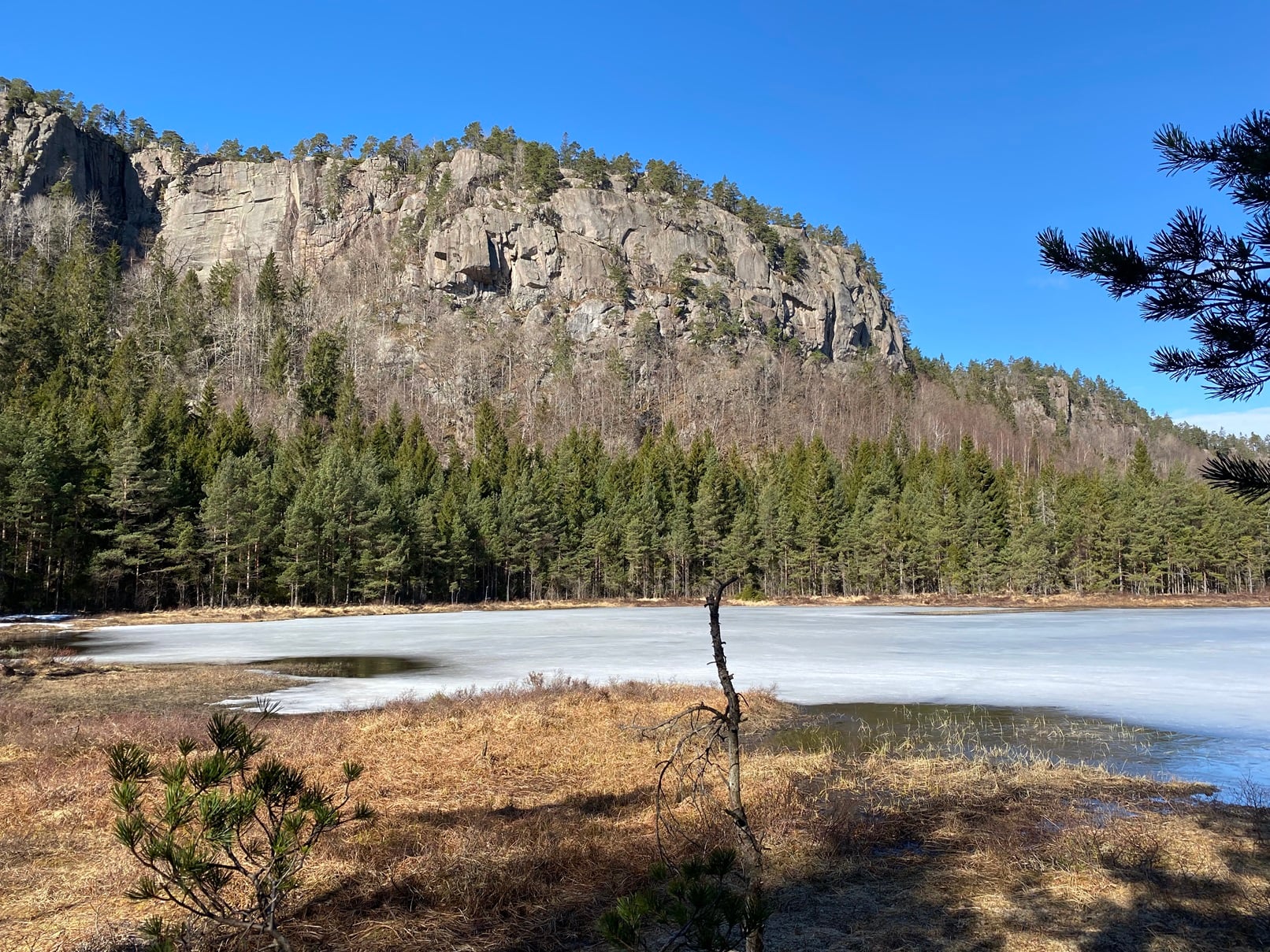 Mot Voreheia, den vestre delen av Igletjenn naturreservat. 
