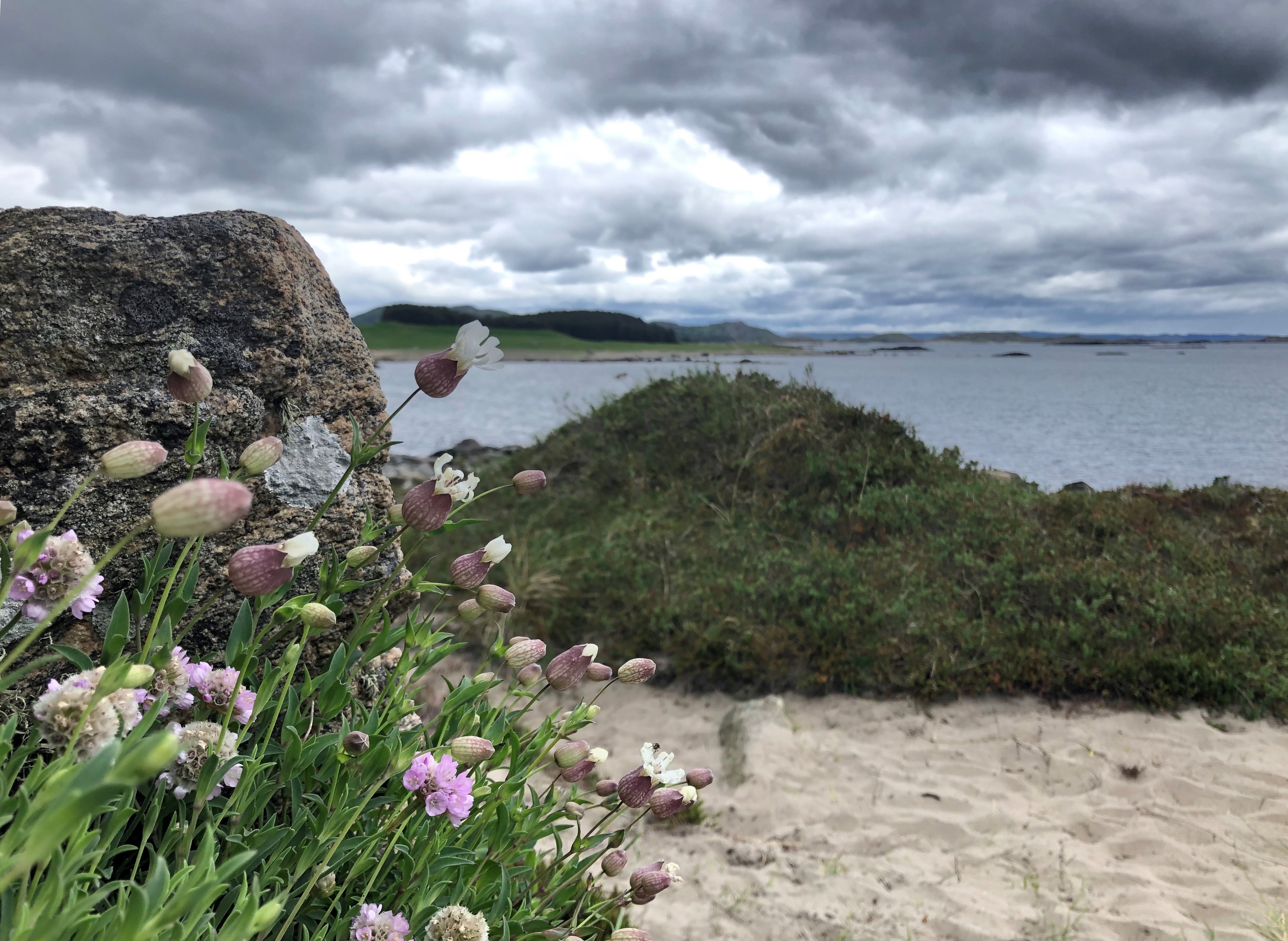 Haugestranda sett fra Skiphaugen.