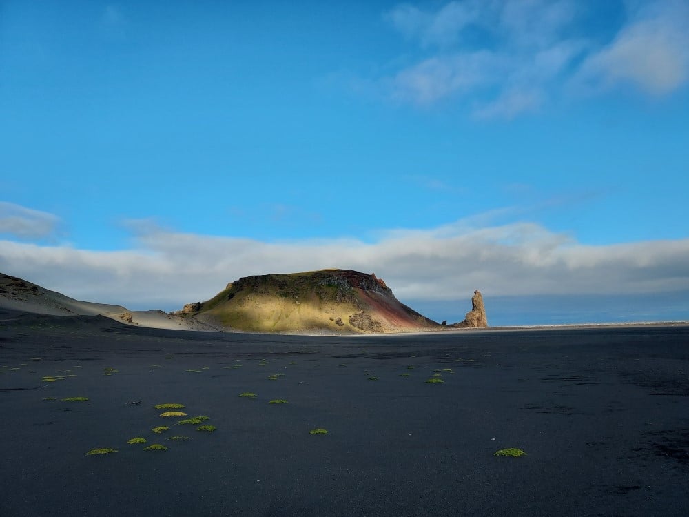 Kvalrossen på Jan Mayen. 