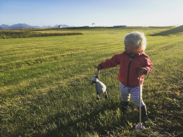 - og her skal kyrne gå. Vinnerbilde Statsforvalterens fotokonkurranse om jordvern 2018.