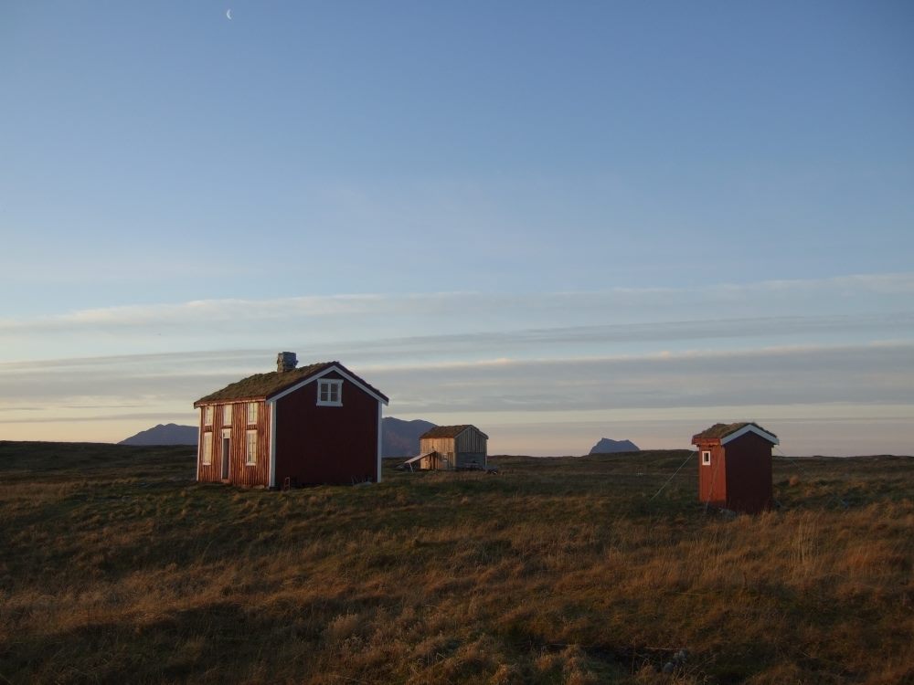 Kystlandskap med røde hus