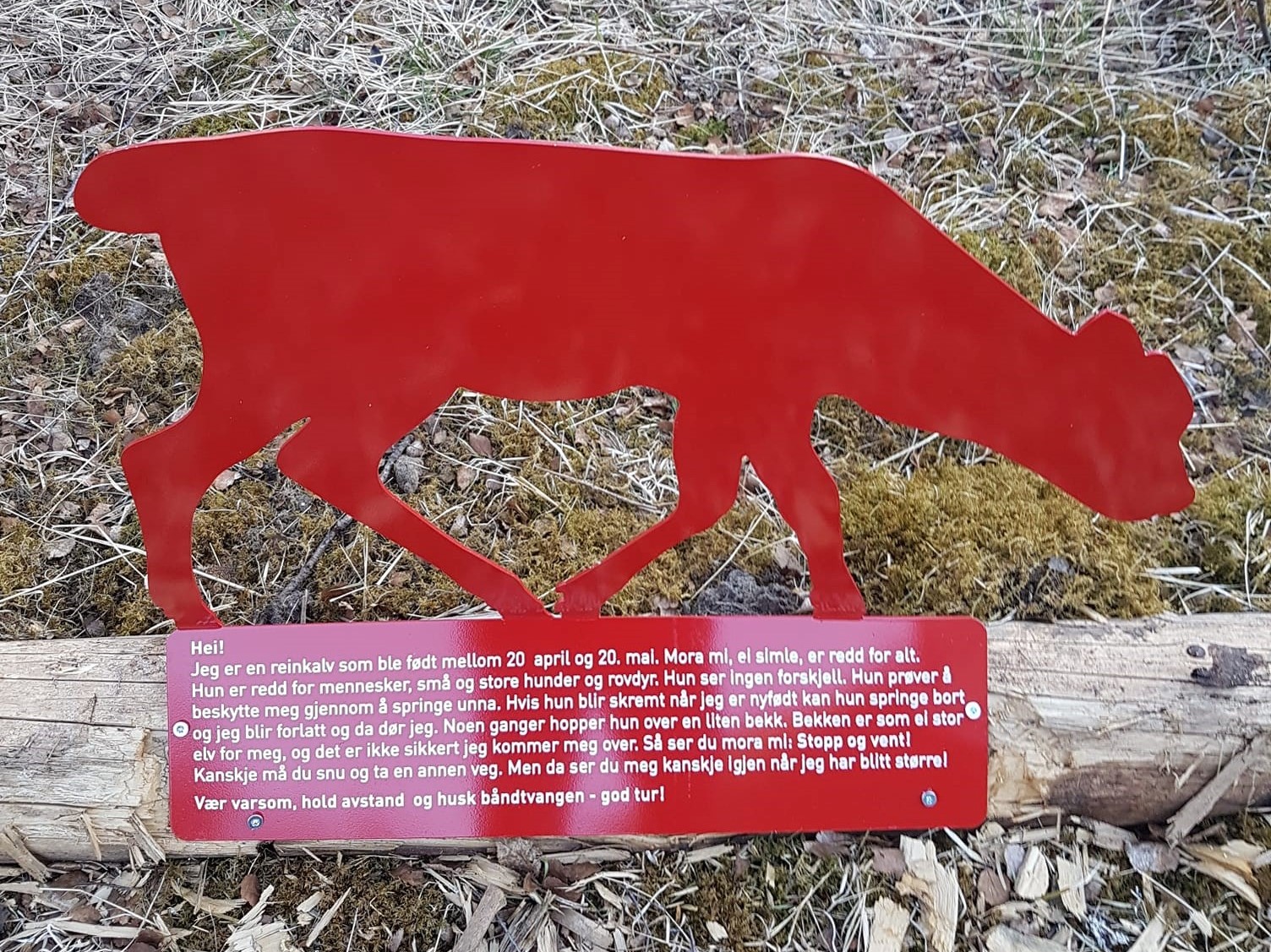 Informasjonsskilt i Lomsdal-Visten nasjonalpark
