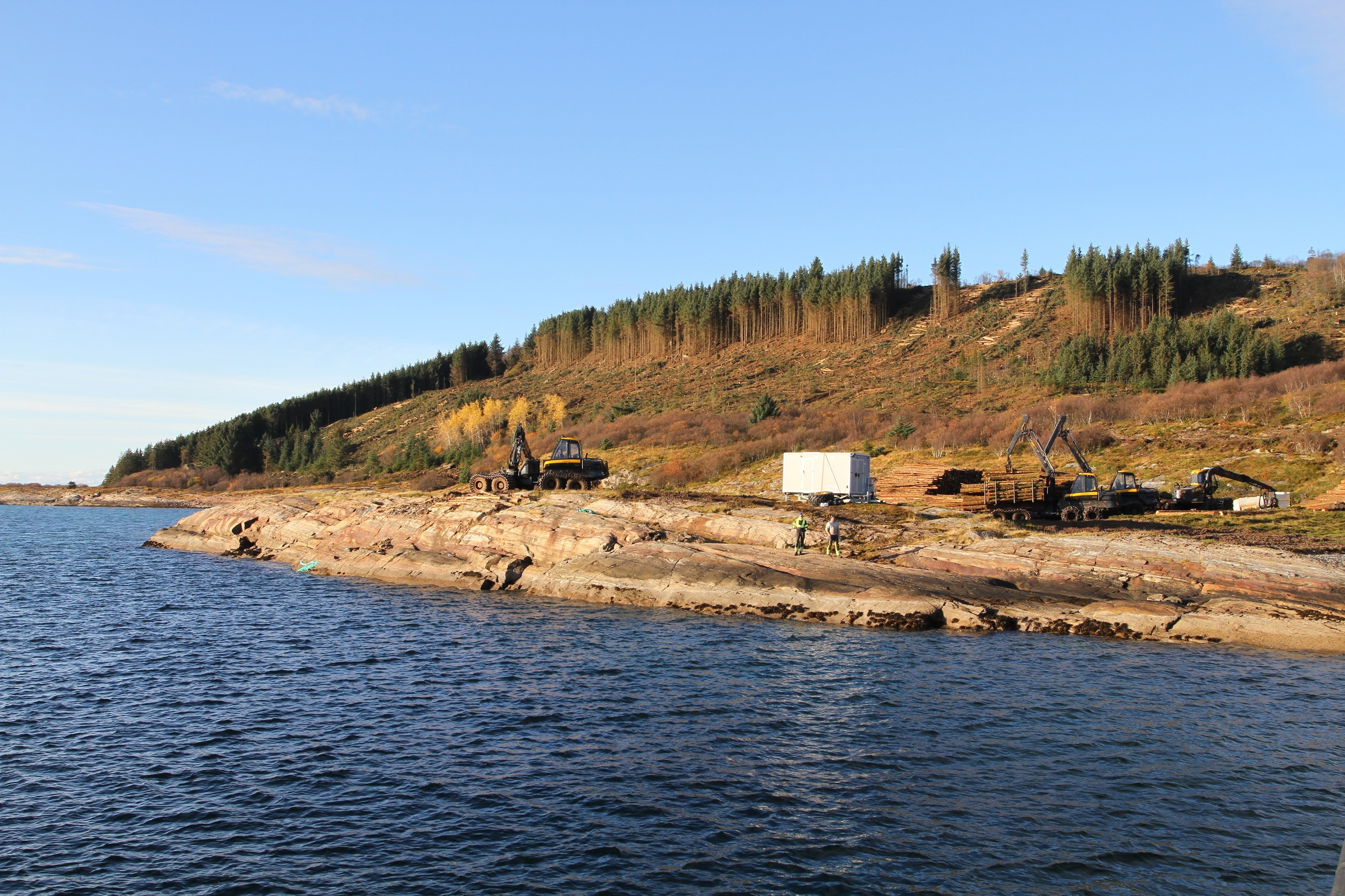 Landskap med hogstfelt, tømmer, maskiner og mennesker, ved havet