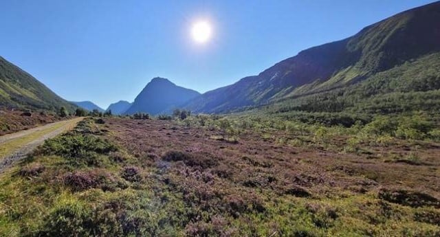 Kystlyngheilandskap i Dale i Grytøya 