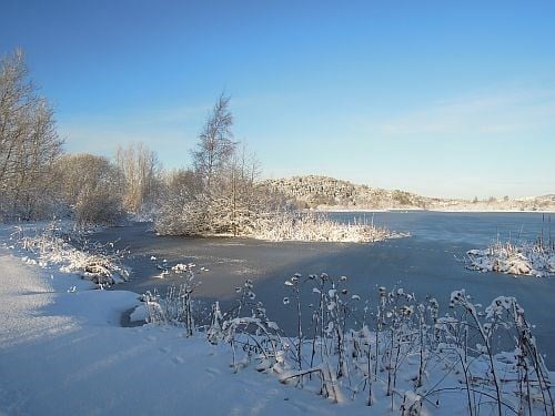 Vinter i Østensjøvannet naturreservat 