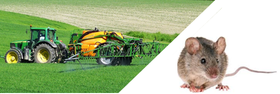 Bilde av traktor med sprøyte og innfelt bilde av en rotte