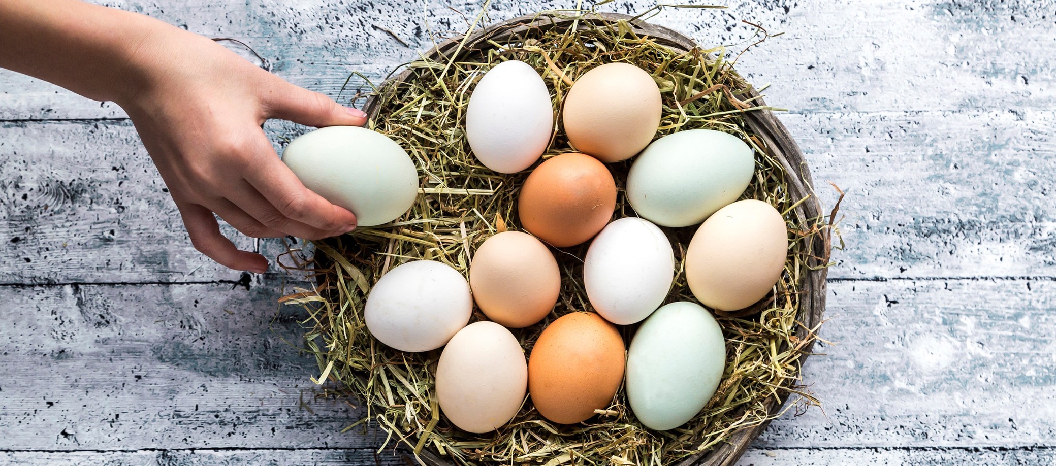 egg i kurv