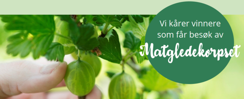 La måltidene bli dagens høydepunkt. Vi oppfordrer institusjoner og hjemmetjenester i Oslo og Viken til å delta i matgledekampanjen.