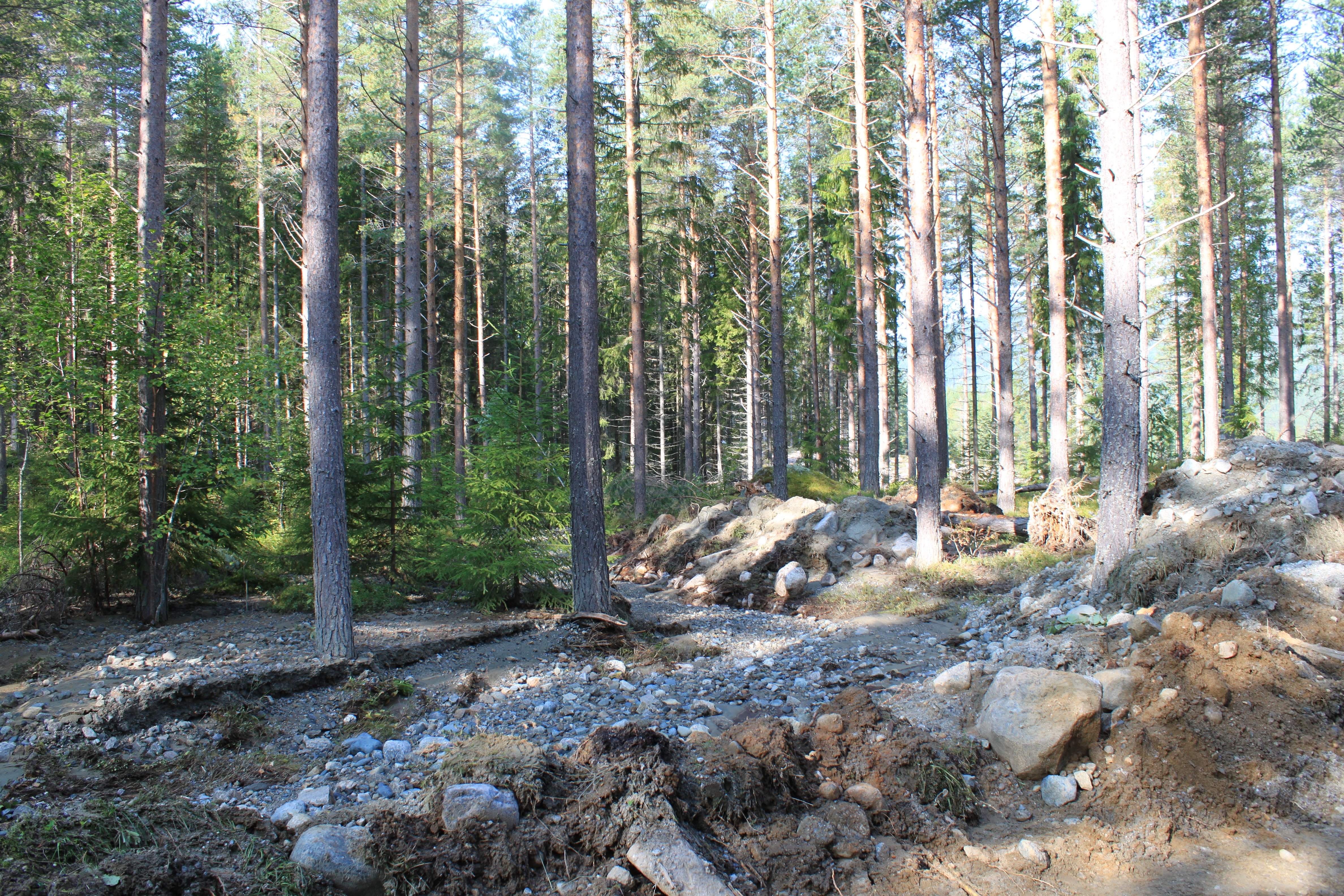 Flomvannet har dratt med seg steinmasser fra skogsbilveien inn i skogen.