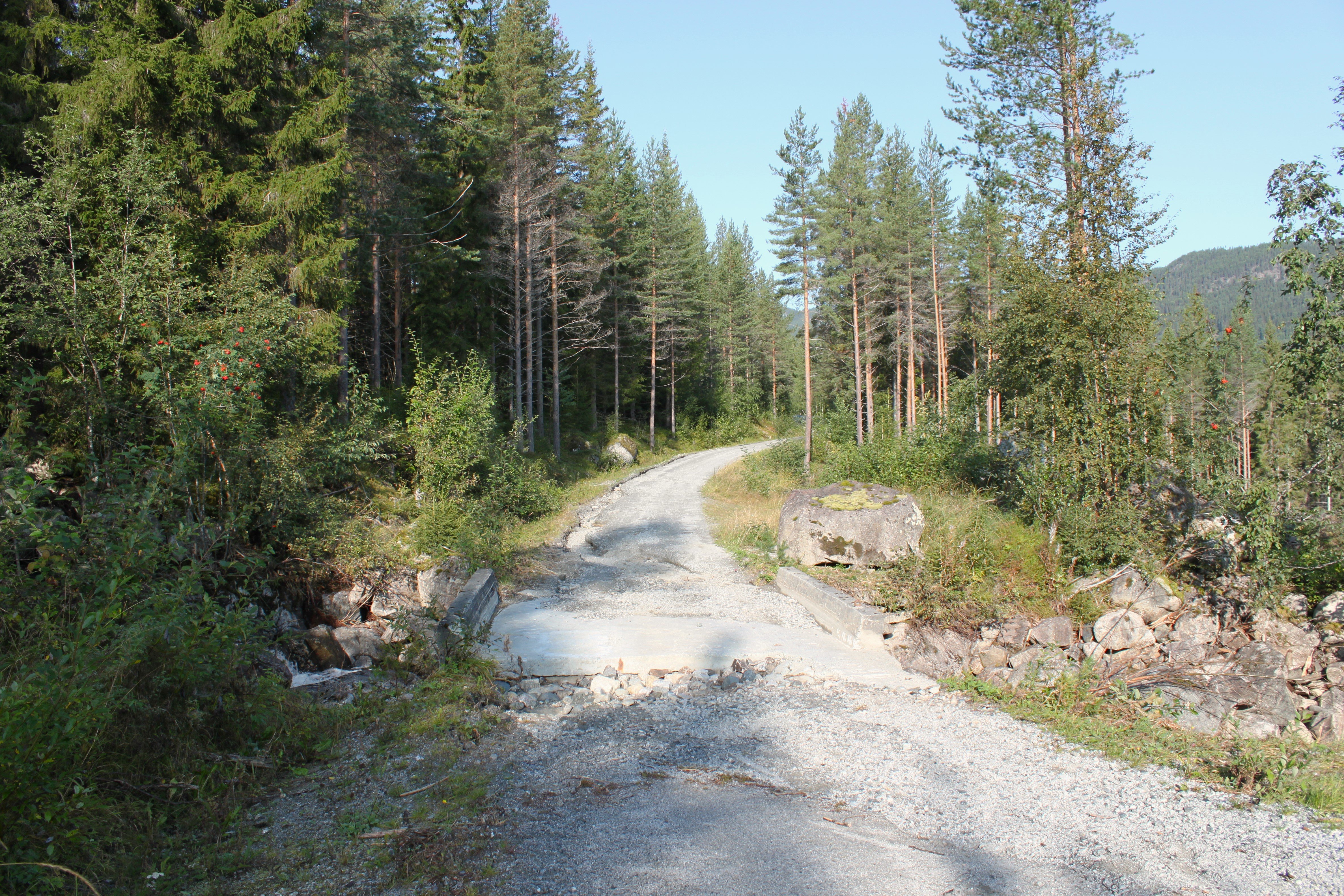 Bru på skogsbilvei der flomvann har vasket ut masser ved fundamentet. 