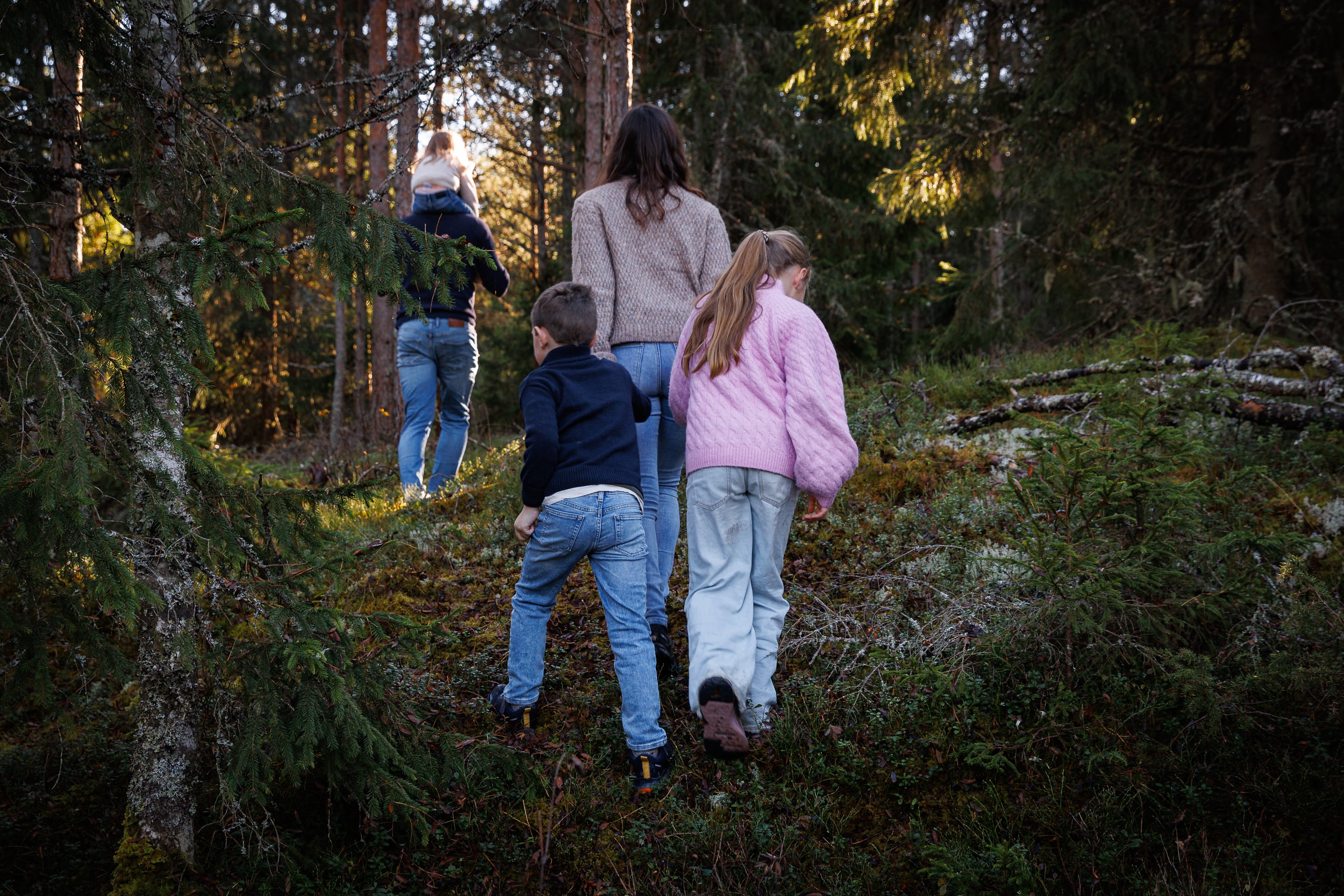 Familie går innover i skogen
