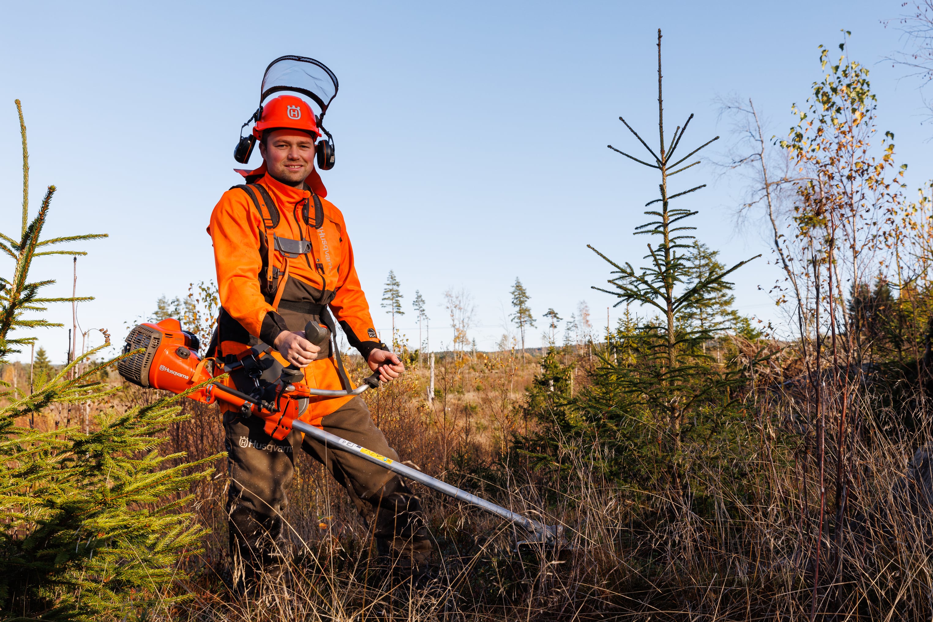 Mann med verneutstyr bruker ryddesag i ung skog.
